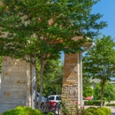 MasterScapes - Landscape Designers & Consultants