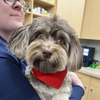 Carmel Pet Wellness Clinic gallery