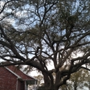 Bryer Tree Service - Tree Service