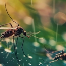 All Seasons Pest Control - Pest Control Equipment & Supplies