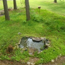Stephens Lawn Care - Landscaping & Lawn Services