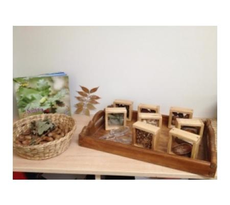 Wagga Wagga Early Years Learning Centre - Glenfield Park, NSW