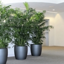 Emerald Coast Plantscapes - Plants-Interior Design & Maintenance