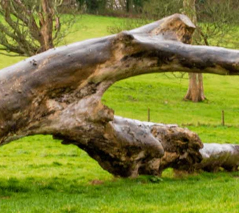 Bill's Tree Service Pty Ltd