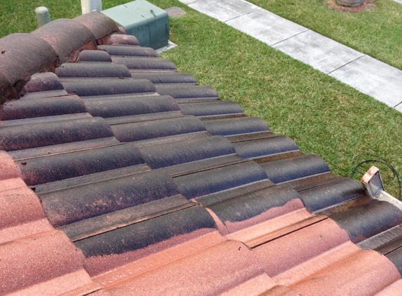 Queensland Quality Cleaning and Pest Management - Narangba, QLD