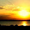 Visual Majesty Videography & Photography gallery