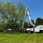 Kleber C Tree Service & Excavation