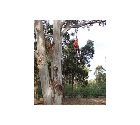 Vinton Tree Services & Plant Hire - Kingston, QLD