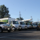 Haddon Tree Co