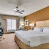 Holiday Inn Express & Suites Lubbock Southwest - Wolfforth by IHG gallery