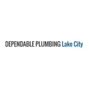 Dependable Plumbing Lake City - Backflow Prevention Devices & Services