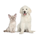 PetWellClinic - East Liberty - Veterinarians