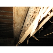 Gallery Image Number 5