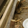 Mr D's Pest Control gallery
