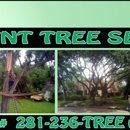 TNT Tree Service - Tree Service