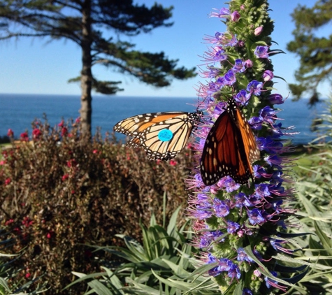 Esalen Institute - Big Sur, CA