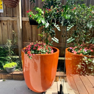Pots & Ponds - Bungalow, QLD