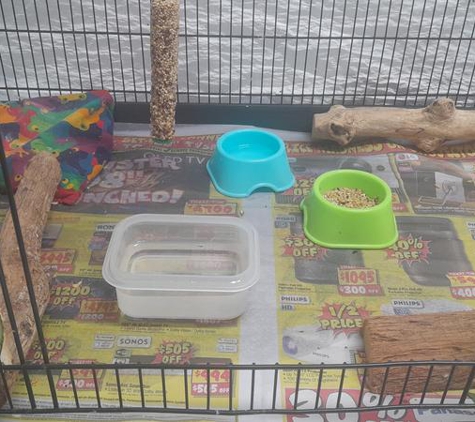 Bird Vet Melbourne - Burwood, VIC