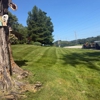 Castile lawn service gallery