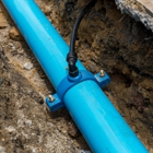 Bird Dog Plumbing