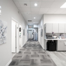 New Tampa Family Dental - Dentists