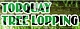 Torquay Tree Lopping - Landscape Contractors & Designers