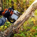 Allstate Tree & Shrub Corp. - Tree Service