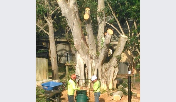 Tri-Brothers Tree & Landscaping - Port Saint Lucie, FL