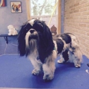Pabst Pooch Parlor - Pet Grooming