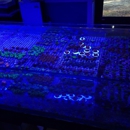 The Reef Shack - Pet Stores