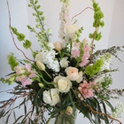 Willow Specialty Florist