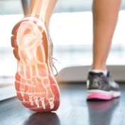 Gallery Image Number 3