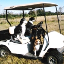 Animal Lovers Dog Resort - Dog & Cat Furnishings & Supplies