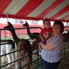 Northwestern Michigan Fair Main Ofc gallery