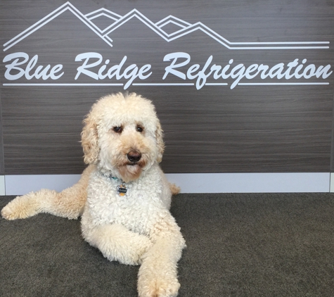 Blue Ridge Refrigeration - Asheville, NC