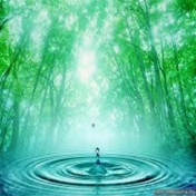 Gallery Image Number 1
