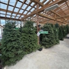 Huck's Home & Garden gallery
