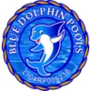 Blue Dolphin Pool Service gallery