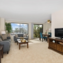Plaza Towers Apartments - Apartment Finder & Rental Service