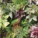 Ames Greenhouse And Floral - Greenhouses