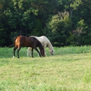 Pine Hill Farm - Farms