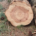 Moore's Tree Service & Stump Grinding