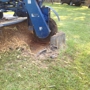 Abrams Stump Grinder Service