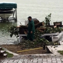 Thate's Tree Service - Arborists