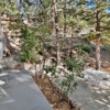 Big Bear Vacations gallery
