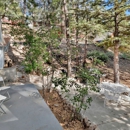 Big Bear Vacations - Hotels