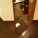 PRO WATER DAMAGE RESTORATION - Water Damage Restoration