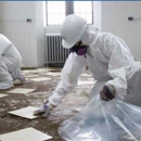 Green Ready Inc - Asbestos Detection & Removal Services