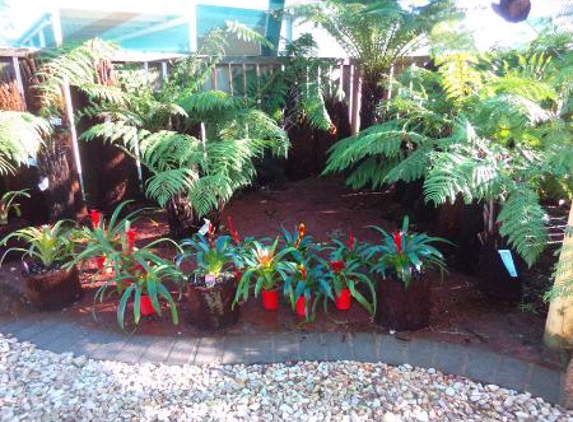 Mint Garden Centre - Craigieburn, VIC