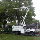 U-Save-More Tree Service